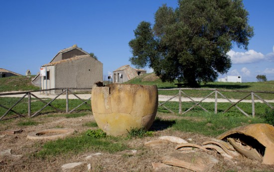 Etruscan Tours from Civitavecchia