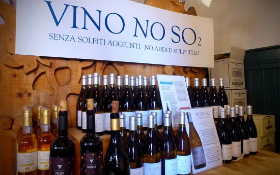 Umbria Orvieto Wine tasting tours from Rome