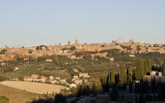 Orvieto Tours from Rome with English speaking Driver