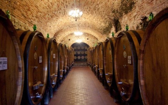 Chianti wine cellar tours from Livorno Cruise Port shore excursions in Tuscany