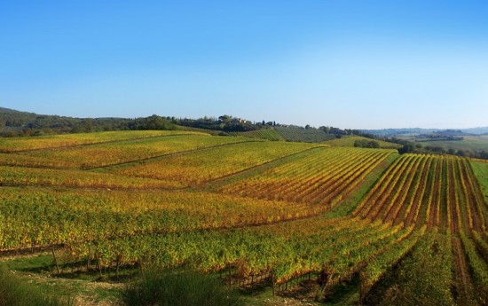 Winery Tours and Wine tasting day trips from Florence