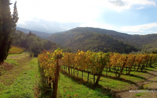 Stefano Rome Tours to Chianti Tuscany