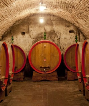 Wine Tasting Tour from Rome to Tuscany by car_Stefano Rome Tours