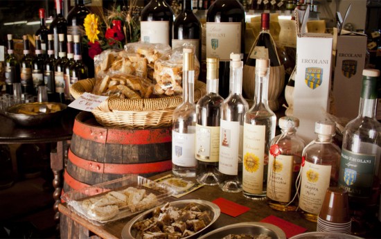 Tuscany Wine Tasting Tours from Rome
