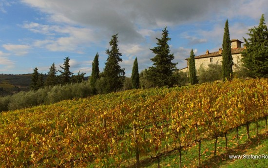 Chianti Wine Tasting and Fashion Outlet Tour