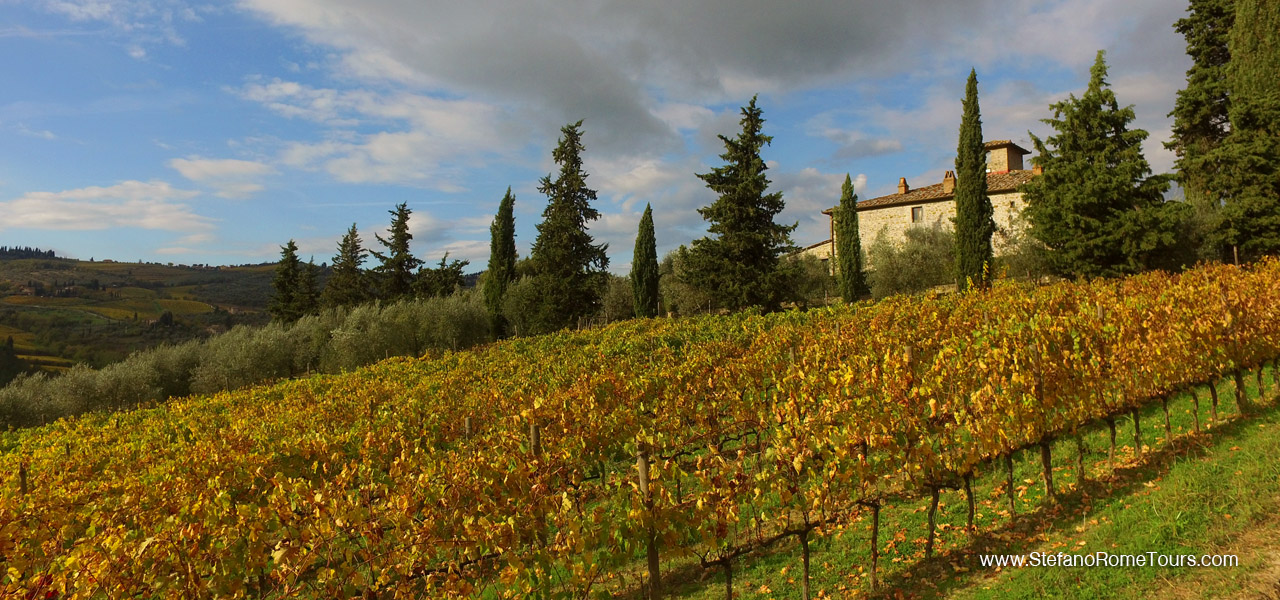 Stefano Rome Tours to Chianti Wine Tasting and Designer Outlet Mall Tour from Florence