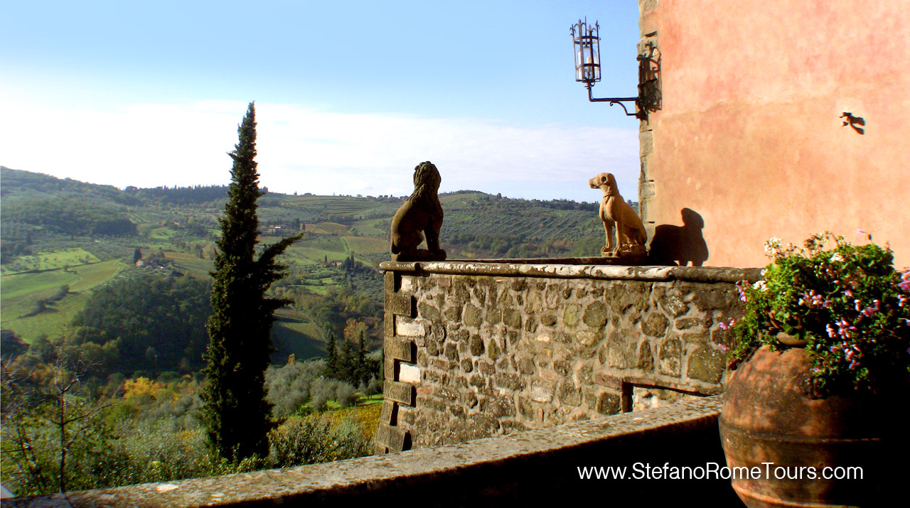 Chianti Wine Tasting and The Mall Designer Outlet Tour from Florence