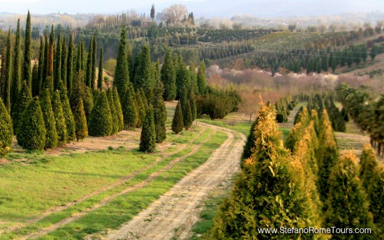 Day trips from Rome to Tuscany