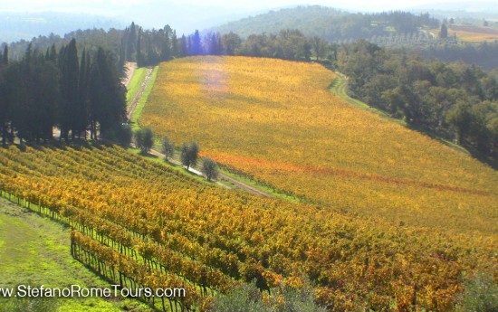 Wine tasting tours from Rome