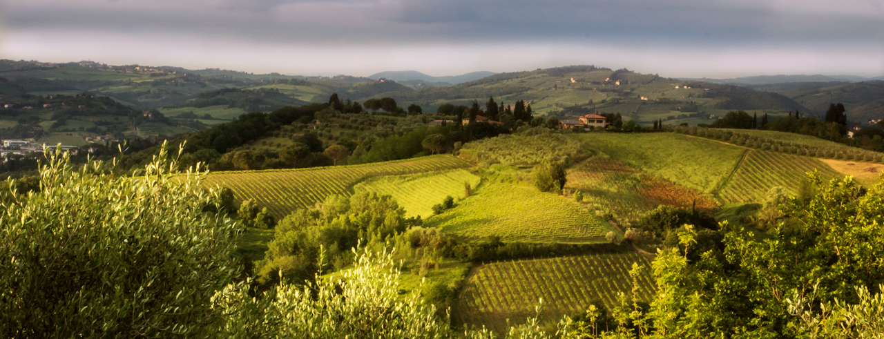 Tuscany Chianti Day Tours from Florence