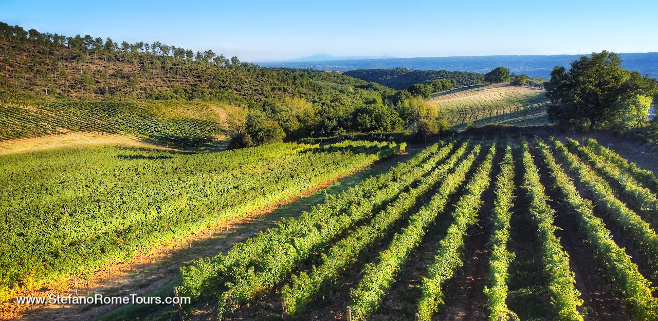 Debarkation Wine Tour from Civitavecchia to Orvieto winery tours