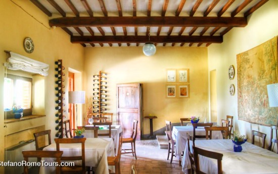 Wine Tasting and winery visit in Umbria from Rome