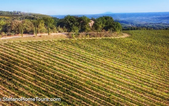 Private Vineyard tours from Civitavecchia post cruise