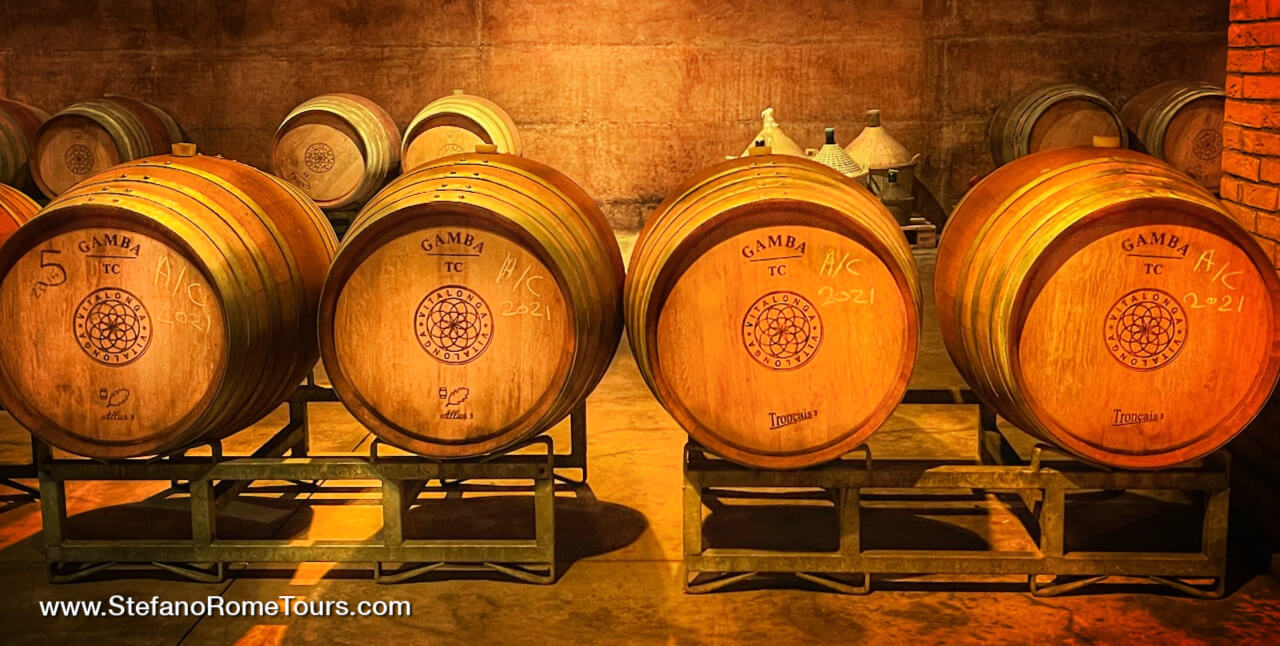 Wine Tasting Tour from Civitavecchia Shore Excursion