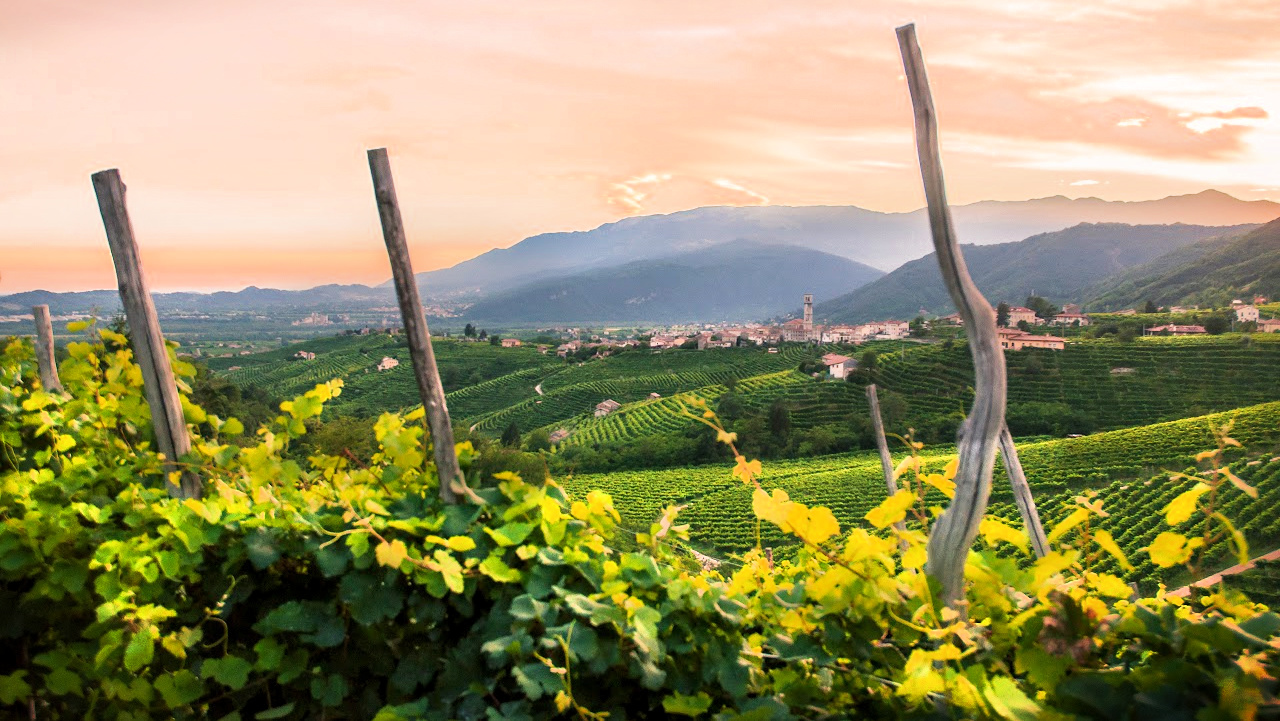 Tuscany Wine tasting tours from Rome Italy