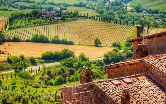 wine tours to Orvieto from Civitavecchia