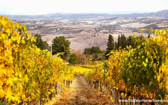Tuscany Vineyard tours from Rome