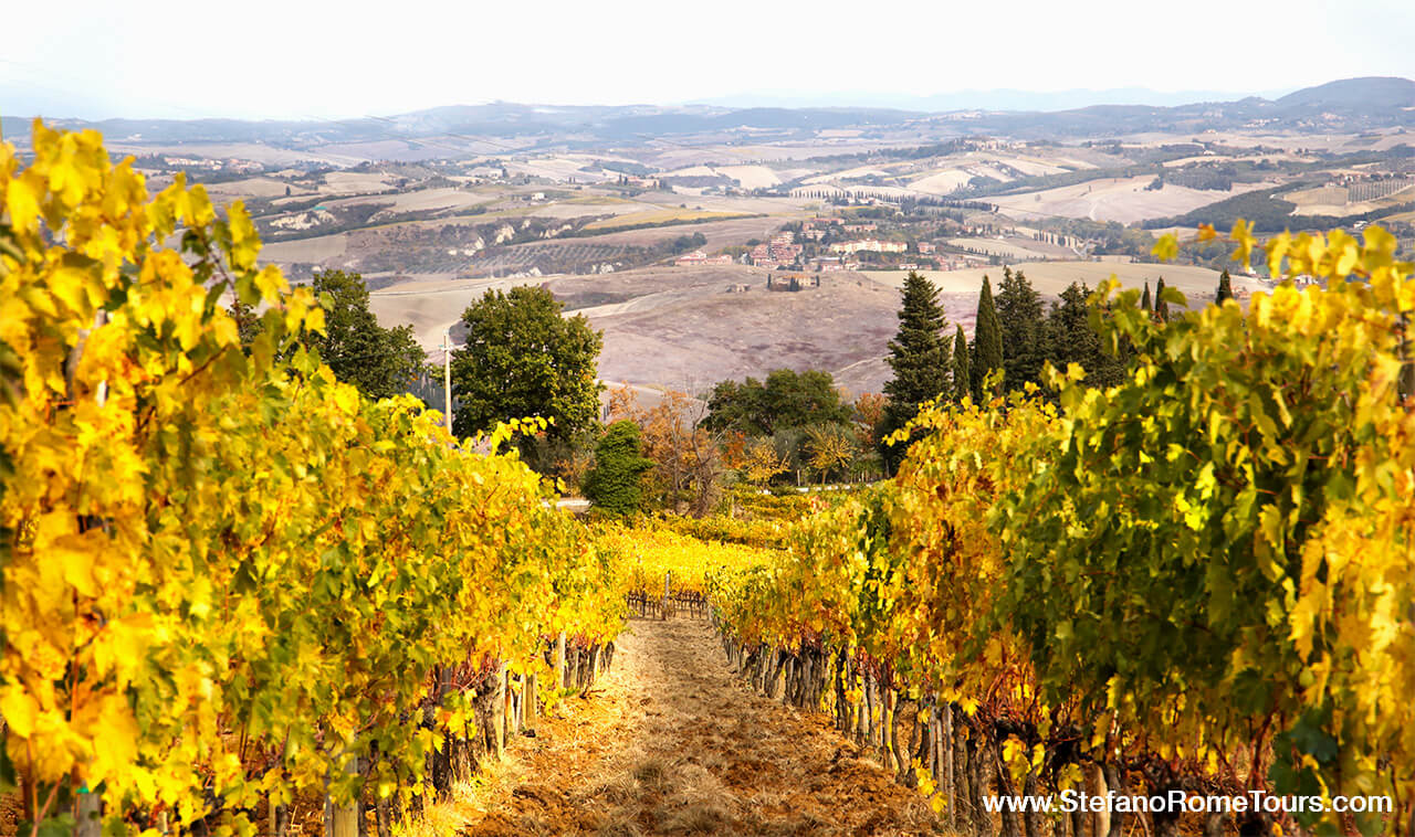 Val d'Orcia Vineyards Tuscany wine tours