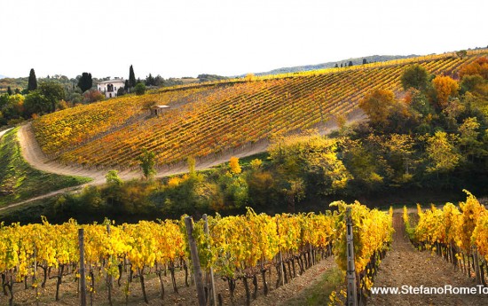 Private Montalcino Wine Tasting Tours from Rome