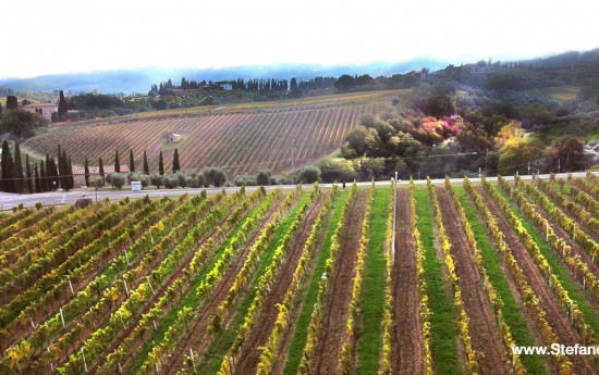 Private Wine Tasting Tours in Tuscany from Rome