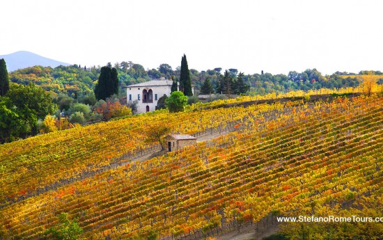 Vineyards and Wine Tours in Tuscany from Rome