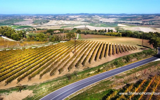 Vineyard tours in Tuscany wine tasting from Rome