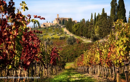 Wine tasting tours from Rome to Tuscany