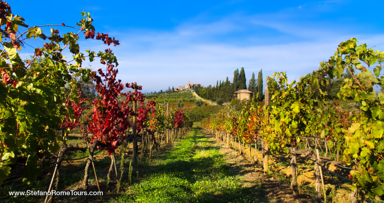Castello Banfi Montalcino Wine Tours from Rome to Tuscany