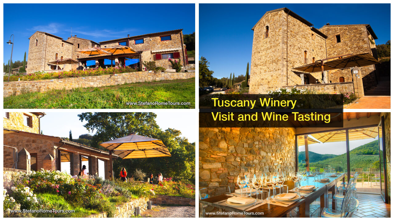 Winery Wine Tasting Tour in Tuscany wine tours from Rome