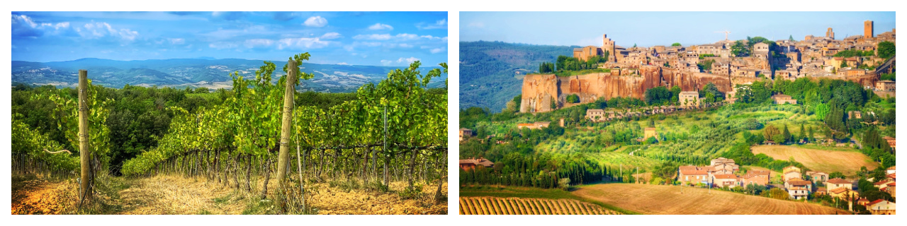 Orviet Wine Tasting Tour from Civitavecchia private excursions