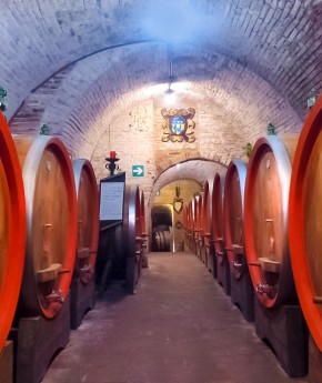 Wine Tours from Rome to Tuscany