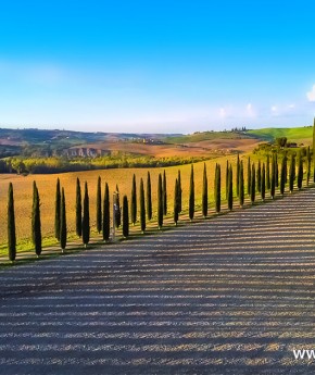 Private Luxury Tours from Rome to Tuscany
