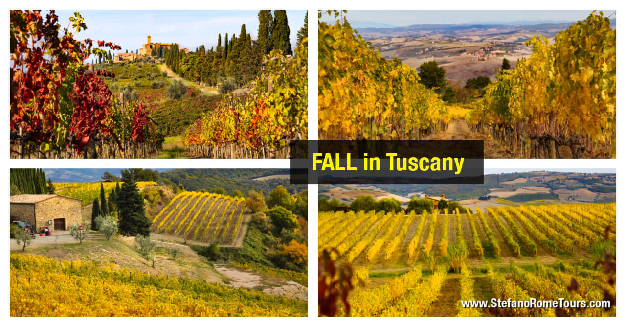 Tuscany Wine Tours from Rome day tours to Tuscany wineries
