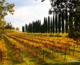 Best Autumn Day Trips from Rome: Explore Tuscany, Amalfi Coast, and More