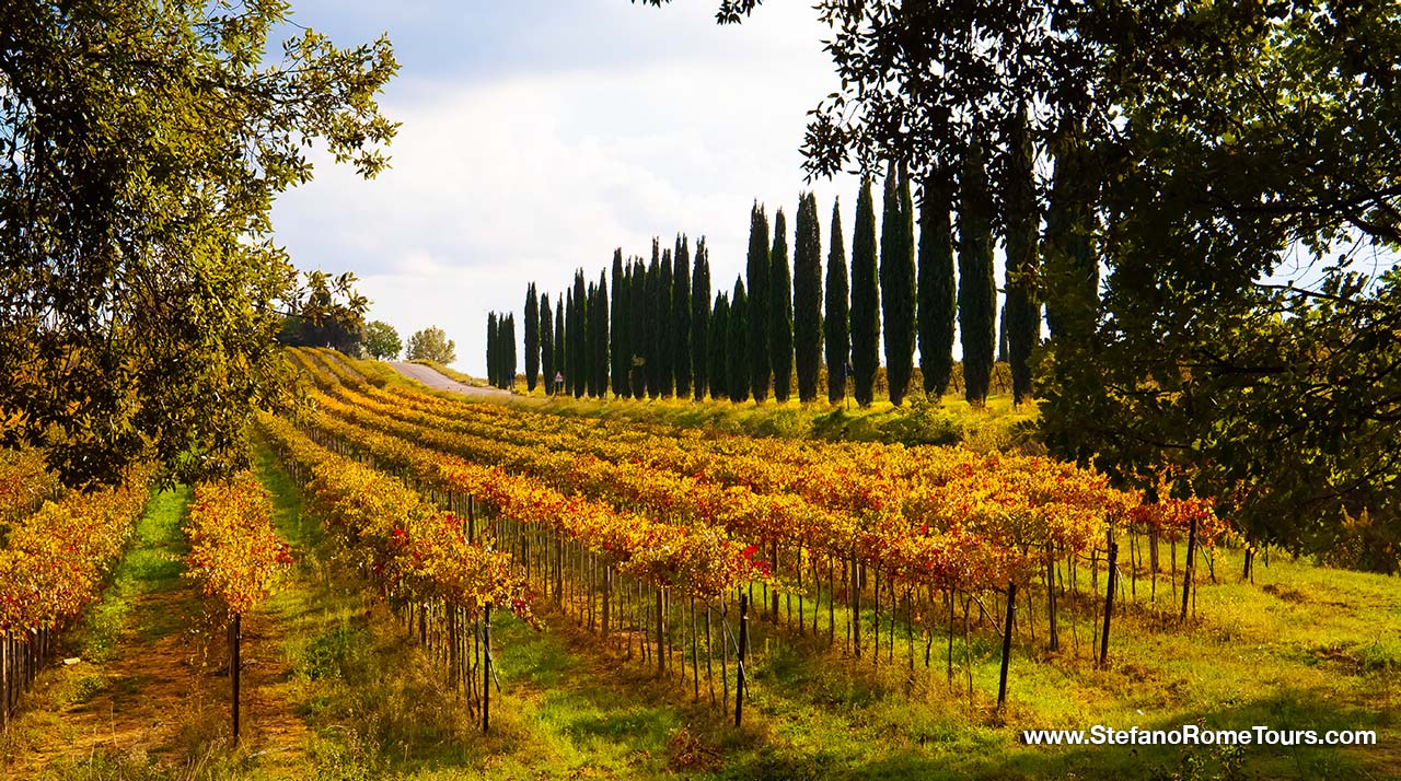 Best time of the year to visit Tuscany Italy vineyards wine tours