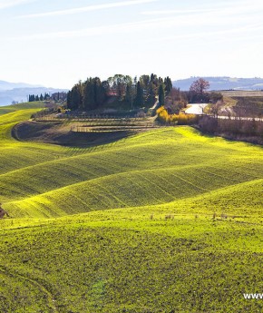 Tuscany from Rome Tours by car