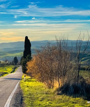 Stefano Rome Tours to Tuscany Pienza Montepulciano